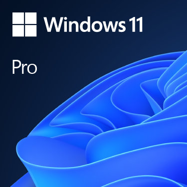 Windows 11 Pro 專業版